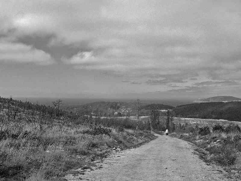 Camino2008 388_bearbeitet-1